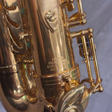 Honor HR-900 Alto Saxophone With Case