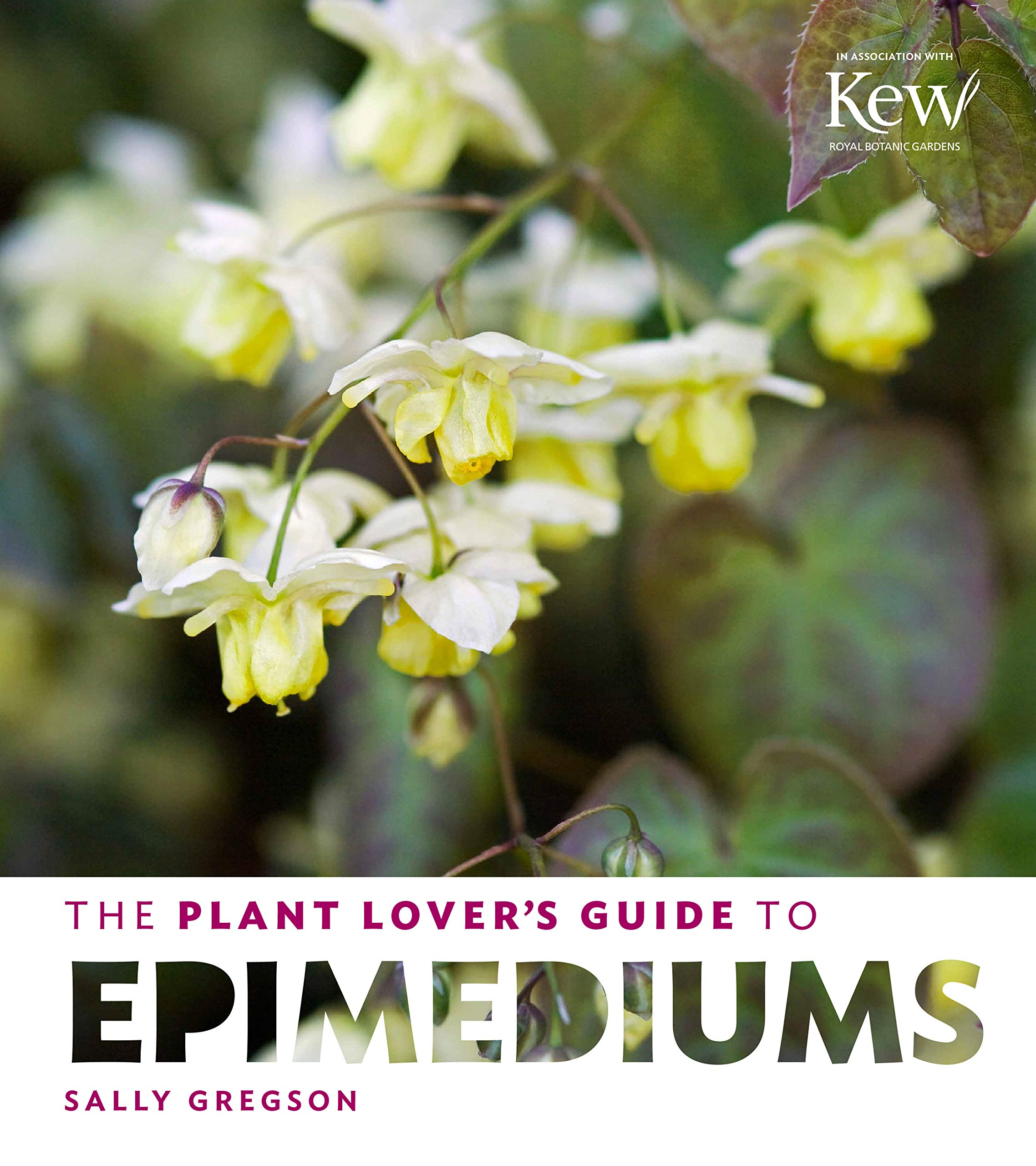 The Plant Lover's Guide to Epimediums Hardcover Main image