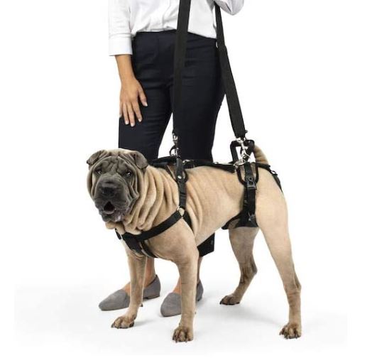 PetSafe CareLift Support Harness Medium Secondary image