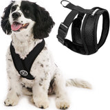 Gooby Comfort X Head In Harness Black Medium