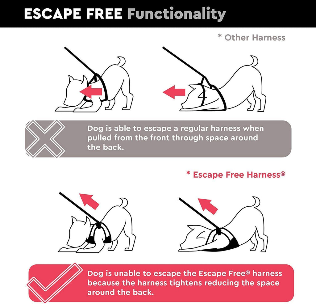 Gooby Escape Free Sport Harness Turquoise Small