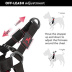 Gooby Escape Free Sport Harness Turquoise Small