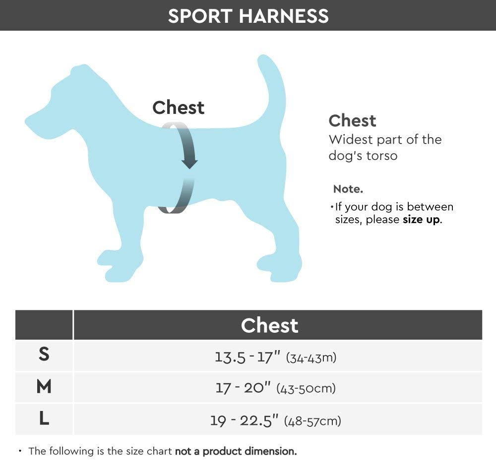Gooby Escape Free Sport Harness Turquoise Small Secondary image