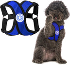Gooby Comfort X Step in Harness Blue Medium