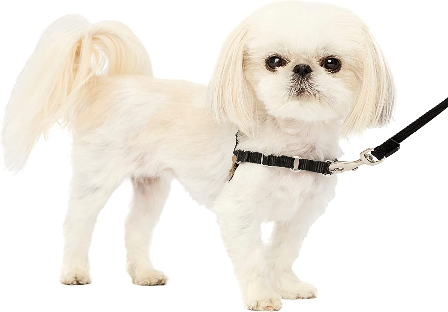 PetSafe Easy Walk NoPull Dog Harness Petite BlackSilver Main image