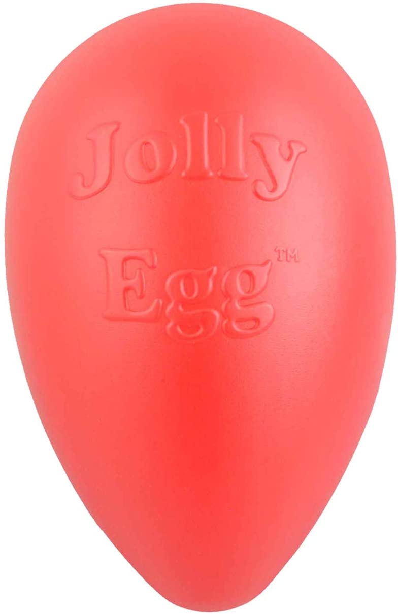 Jolly Egg For Small to Medium Dogs Main image